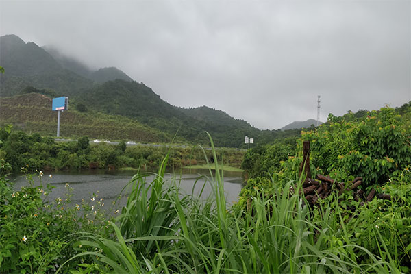 團(tuán)建 賞雨.jpg